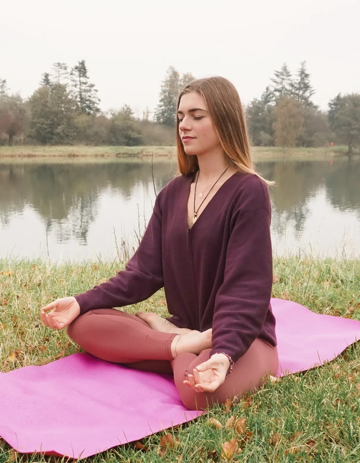 Lesafbeelding van Raja Yoga (fysiek beschikbaar of live online)